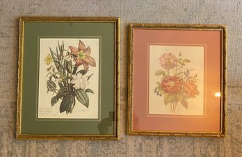 Pairing Of Vintage Framed Botanical Prints