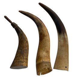 Lot Of 3 Vintage Cow Horns - 1 Made Into A Rattle