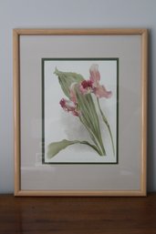 Framed & Matted Watercolor Art Print Lycaste Mary Gratrix