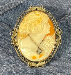 Jewelry - Cameo Pin