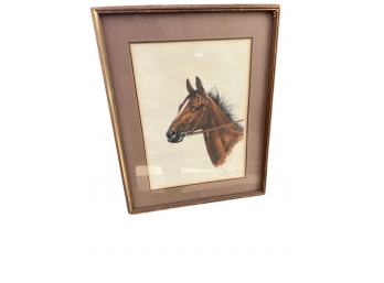 Horse With Bridle Vintage Portrait