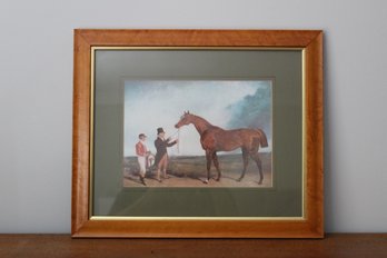 Vintage Framed Lithograph Of The Race Horse Plenipotentiary