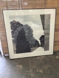 Black And White Tree Still Life Print