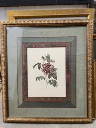 Set Of 2 Large Beautifully Framed Prints Of Roses