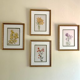 A Set Of Four Floral Prints In Frames