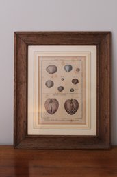 Vintage Framed And Matted Cornici Lavorate A Mano Lithograph