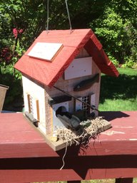 Bird House #5