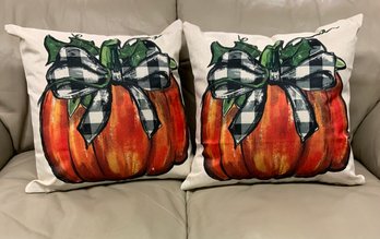 2 Nice Decorative Throw Pillows