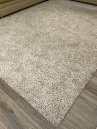 Large Multi Toned Speckled Shag Are Rug