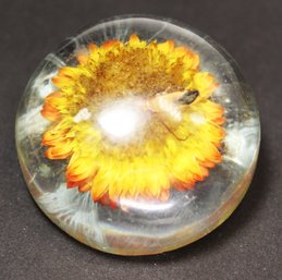 Vintage 1960s Acrylic Lucite Plastic Dome Brooch Flower And Bee