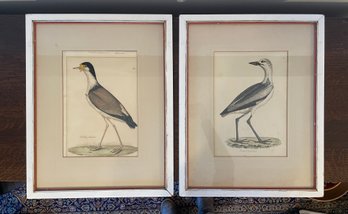 Pair Of Framed Antique Bird Prints