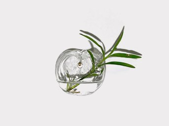 Glass Wall Hanging Planter/Sculpture From The Formations Collection