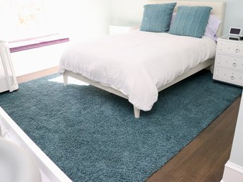 Mohawk Industries Shag Rug