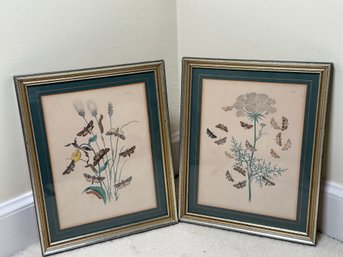 Vintage Nature Framed Prints