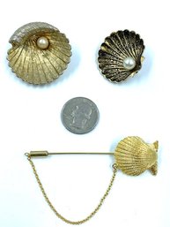 Sea Shell Brooches And Stickpin  Faux Pearl Accents