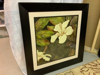 White Hibiscus In Black Frame