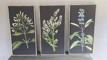 A Triptych Botanical Giclee Art Print Om Canvas