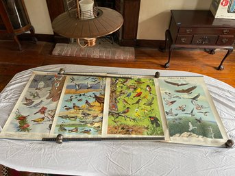 Set Of 4 Massachusetts Audubon Society Game Birds Posters 1946