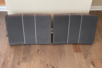 Bang And Olufsen Beovox RL Red Line 60 Speakers Parts Or Repair