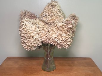 Dried Hydrangeas In Vase