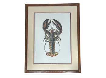 Simon Barwick Delineavit Lobster Print, Framed