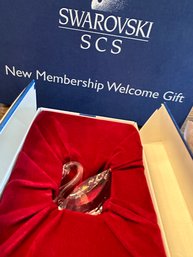 Swarovski New Membership Welcome Gift  Swan