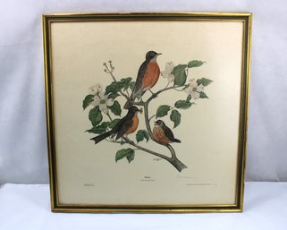 Art   Large 1969 Lithograph  Edward D. Williams   Robin   Shows Foxing And Wear