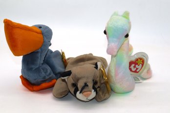 1996 Scoop,  1998 Canyon, 1999 Neon TY Beanie Babies