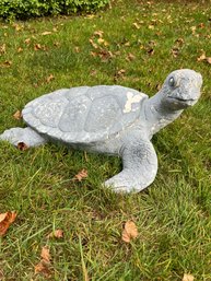 Tim The Garden Turtle,  'I Had A Little Turtle, His Name Was Tiny Tim'