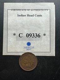 American Mint Indian Heat Cents 1907