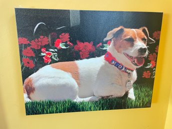 Canvas Print Of Dog