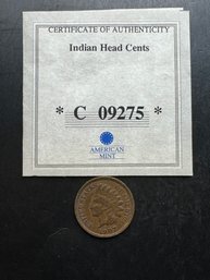 American Mint Indian Heat Cents 1907