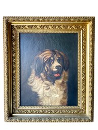 Antique Oil On Canvas , Dog Painting In A Gorgeous  Gilt Frame.