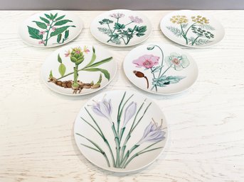 A Set Of 6 Botanical Themed Luncheon Plates From Horchow