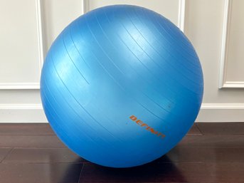 A Swiss Ball