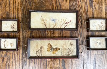 Vintage Pressed Flowers And Butterfly Tray And Coasters