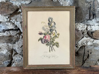 Jean Louis Prevost, Print, Iris, Roses & Narcissus No. 11