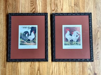 Vincent Brooks Day & Son, Publishers, 19th Century Birds From Cassell's Poultry Framed Prints - A Pair