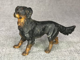 Antique Austrian Cold Painted Bronze Gordon Setter Figurine - Very Nice Piece - Very Heavy And Quality