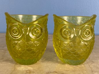 2 Piece Glass Owl Glasses