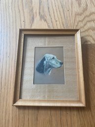 Framed Dog Picture