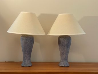 Pair Of Blue And White Lamps