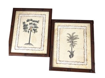 Pair Of Palm Tree Framed Prints