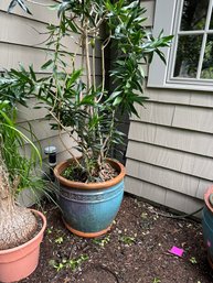 Beautiful  Large Heavy Pottery Planter