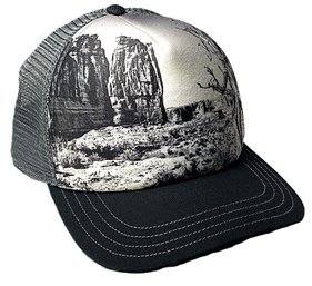 Pistil Dusk Trucker Hat (Brand New/Black)