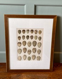 Assorted Eggs Print In Wooden Frame