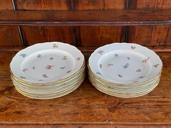 Antique Meissen Scattered Flowers Pattern Dinner Plates- Set Of 12