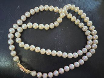 Lovely Single Strand Of Pearls With A Fancy Cameo Embellished Clasp