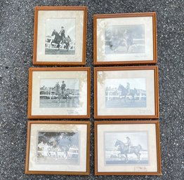 A Series Of Antique Original Equestrian Photographs - Some Signed