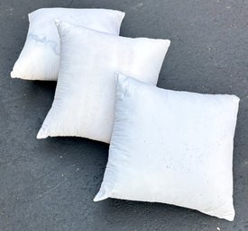 A Trio Of Feather Throw Pillows - Need Cases